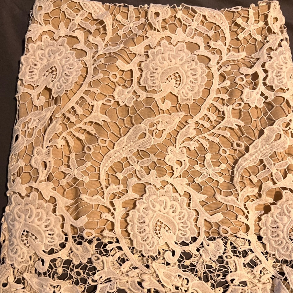 NWT Nude & Lace Skirt